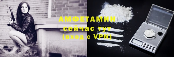 винт Анива