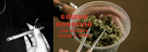мдпв Медногорск