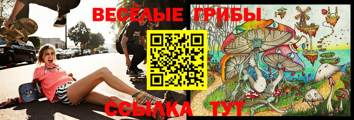 Галлюциногенные грибы ЛСД  Вход с VPN  Белорецк 