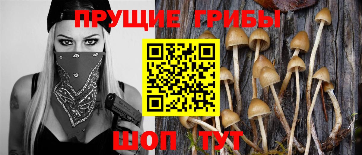 купить наркотик  Галлюциногенные грибы мицелий  Белорецк  Галлюциногенные грибы MAGIC MUSHROOMS 